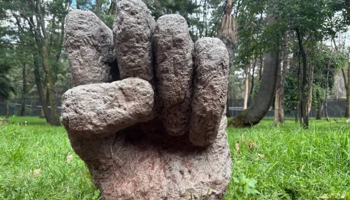 ¿A dónde vamos_ Viveros de Coyoacán (3)