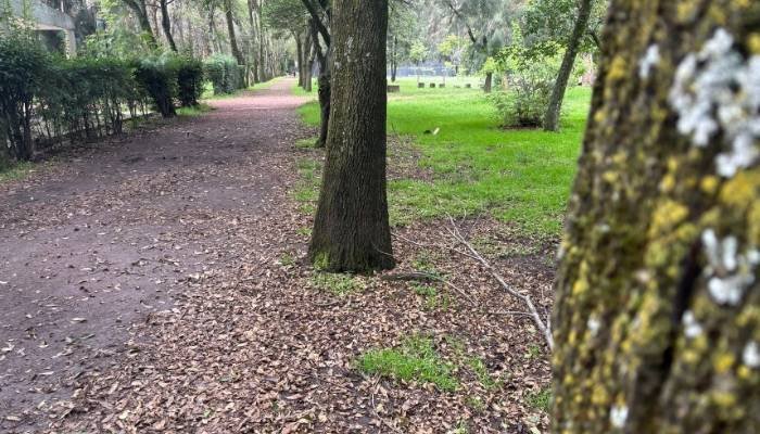 ¿A dónde vamos_ Viveros de Coyoacán (4)