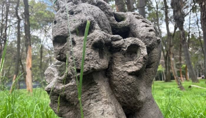 ¿A dónde vamos_ Viveros de Coyoacán (7)