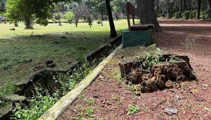 ¿A dónde vamos_ Viveros de Coyoacán (9)