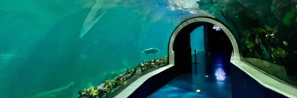 Aquarium del Puerto de Veracruz