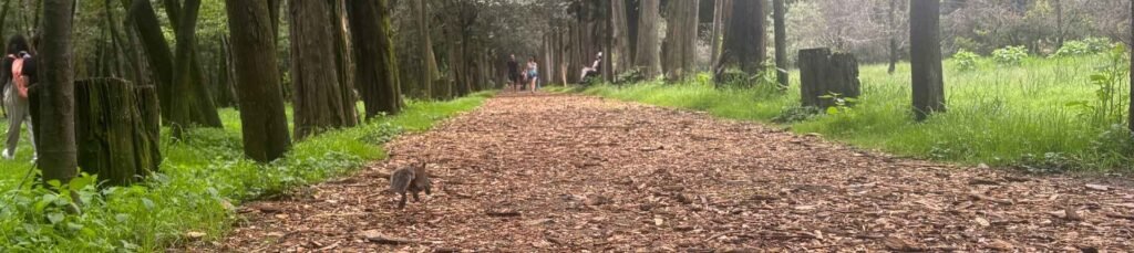 ¿A dónde vamos Pista El Sope