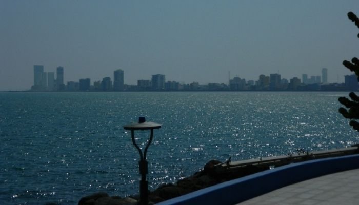 ¿A dónde vamos_ Aquarium del Puerto de Veracruz (7)