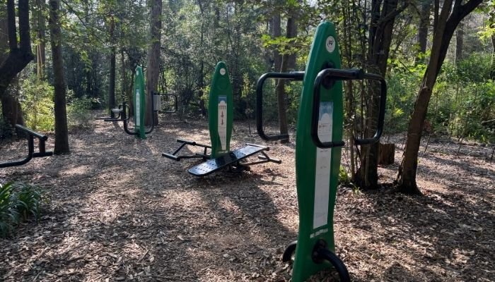 ¿A dónde vamos_ Bosque de Tlalpan (3)