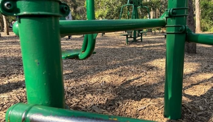 ¿A dónde vamos_ Bosque de Tlalpan (4)