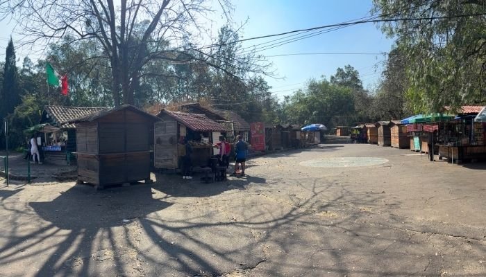 ¿A dónde vamos_ Bosque de Tlalpan