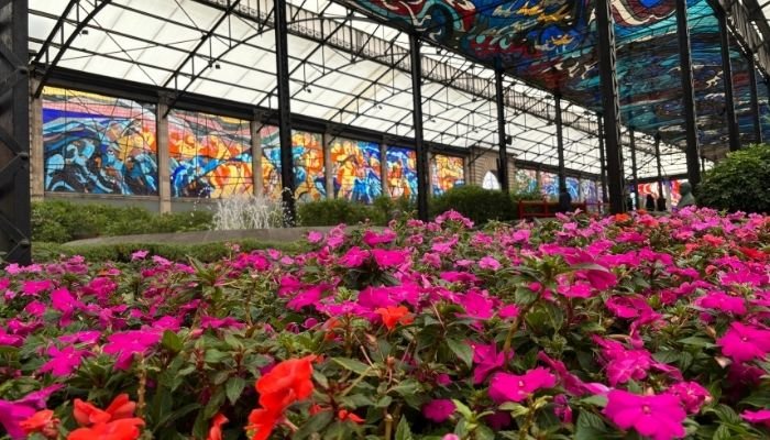 ¿A dónde vamos_ Cosmovitral de Toluca (10)