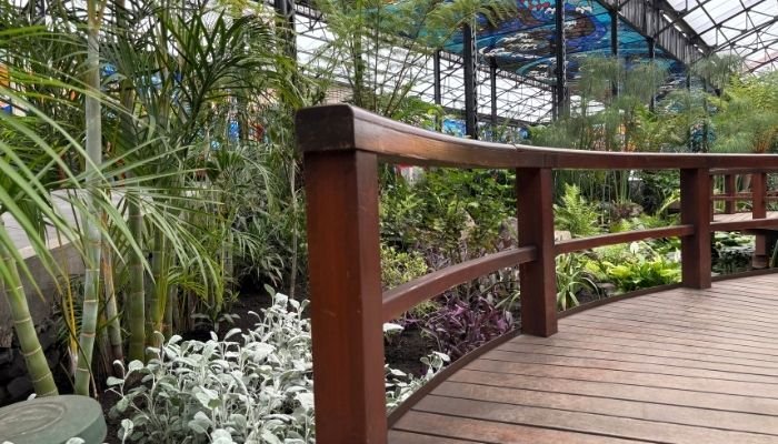 ¿A dónde vamos_ Cosmovitral de Toluca (3)