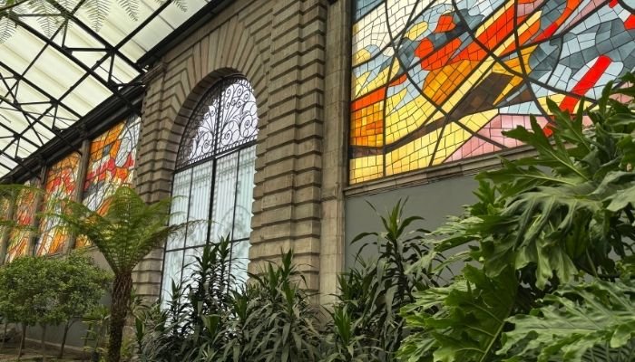 ¿A dónde vamos_ Cosmovitral de Toluca (9)