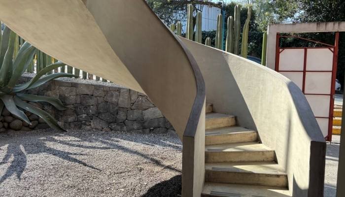 ¿A dónde vamos_ Museo Casa Estudio Diego Rivera y Frida Kahlo (15)