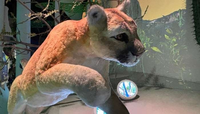 ¿A dónde vamos_ Museo Universitario Arte Contemporáneo (MUAC) (3)