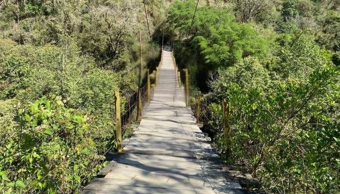 ¿A dónde vamos_ – Pahuatlán (17)