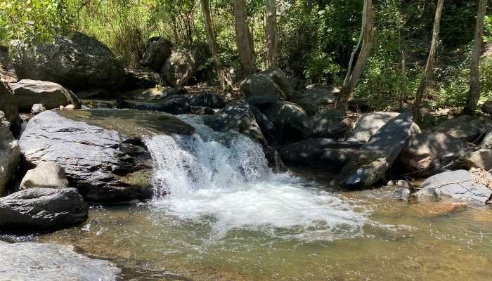 ¿A dónde vamos_ – Pahuatlán (5)