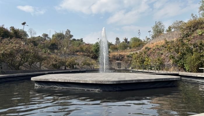 ¿A dónde vamos_ – Parque Cantera (8)