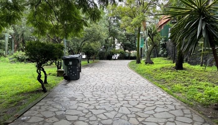 ¿A dónde vamos_ – Parque Ecológico Huayamilpas (2)