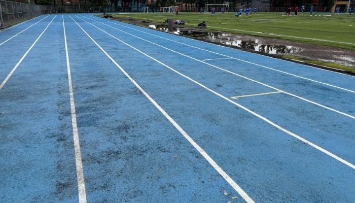 ¿A dónde vamos_ – Parque Ecológico Huayamilpas