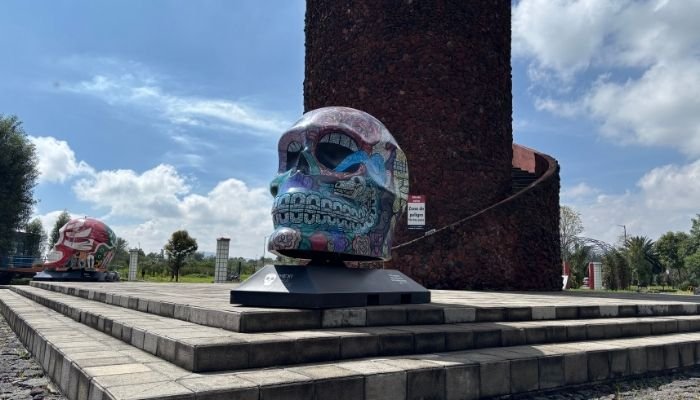 ¿A dónde vamos_ Parque Ecológico de Cuemanco (2)