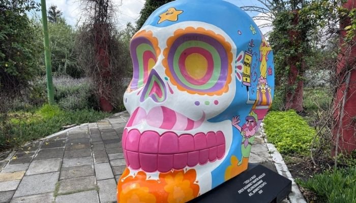 ¿A dónde vamos_ Parque Ecológico de Cuemanco (4)