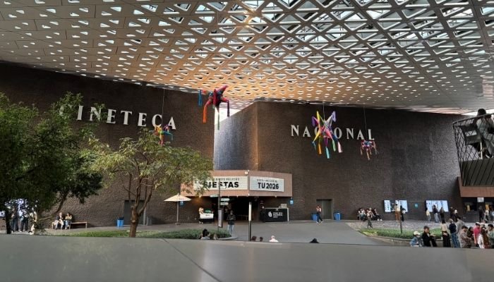 ¿A dónde vamos_ Parque Ecológico de Cuemanco (5)