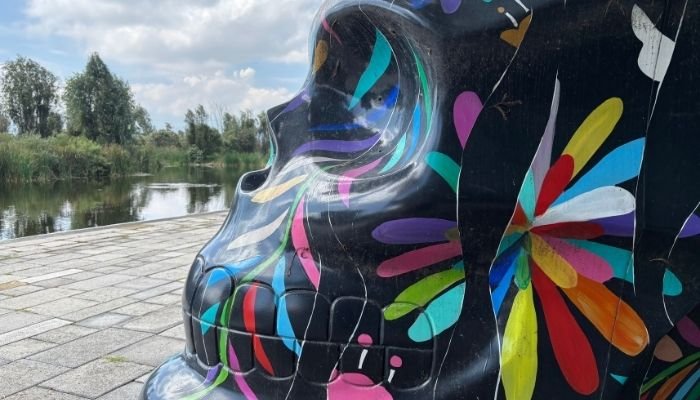 ¿A dónde vamos_ Parque Ecológico de Cuemanco (5)