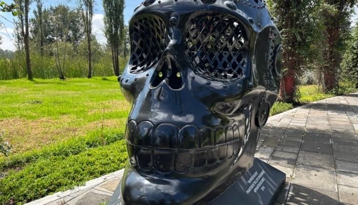 ¿A dónde vamos_ Parque Ecológico de Cuemanco (7)