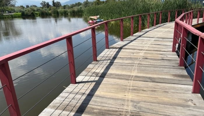 ¿A dónde vamos_ Parque Ecológico de Cuemanco (8)