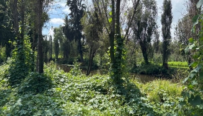¿A dónde vamos_ Parque Ecológico de Cuemanco (9)