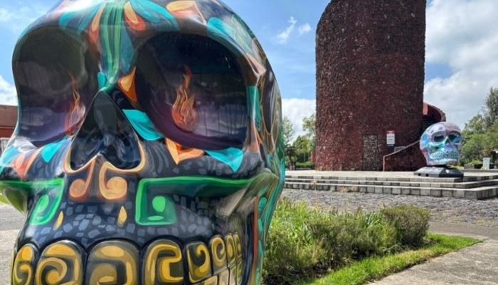 ¿A dónde vamos_ Parque Ecológico de Cuemanco