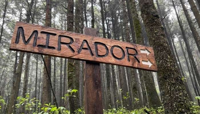 ¿A dónde vamos_ Parque Ejidal San Nicolás Totolapan (5)