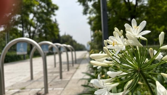 ¿A dónde vamos_ Parque El Sope (2)