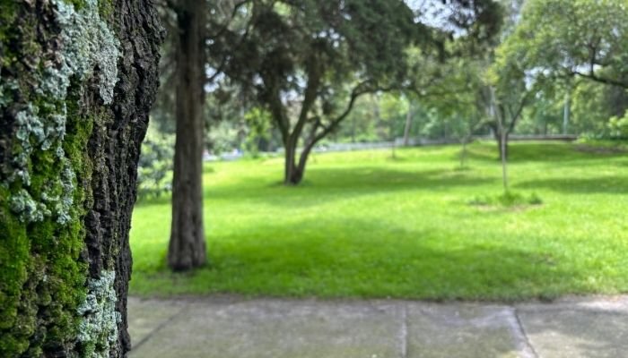 ¿A dónde vamos_ Parque El Sope (3)