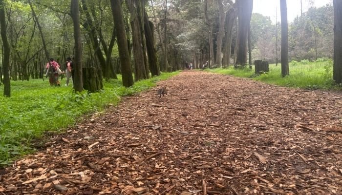 ¿A dónde vamos_ Parque El Sope (5)