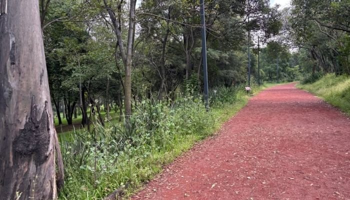 ¿A dónde vamos_ Parque El Sope (7