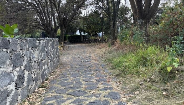 ¿A dónde vamos_ – Zona Arqueológica de Cuicuilco (8)