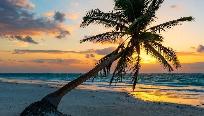 ¿A dónde vamos_ – Zona Arqueológica de Tulum (2)